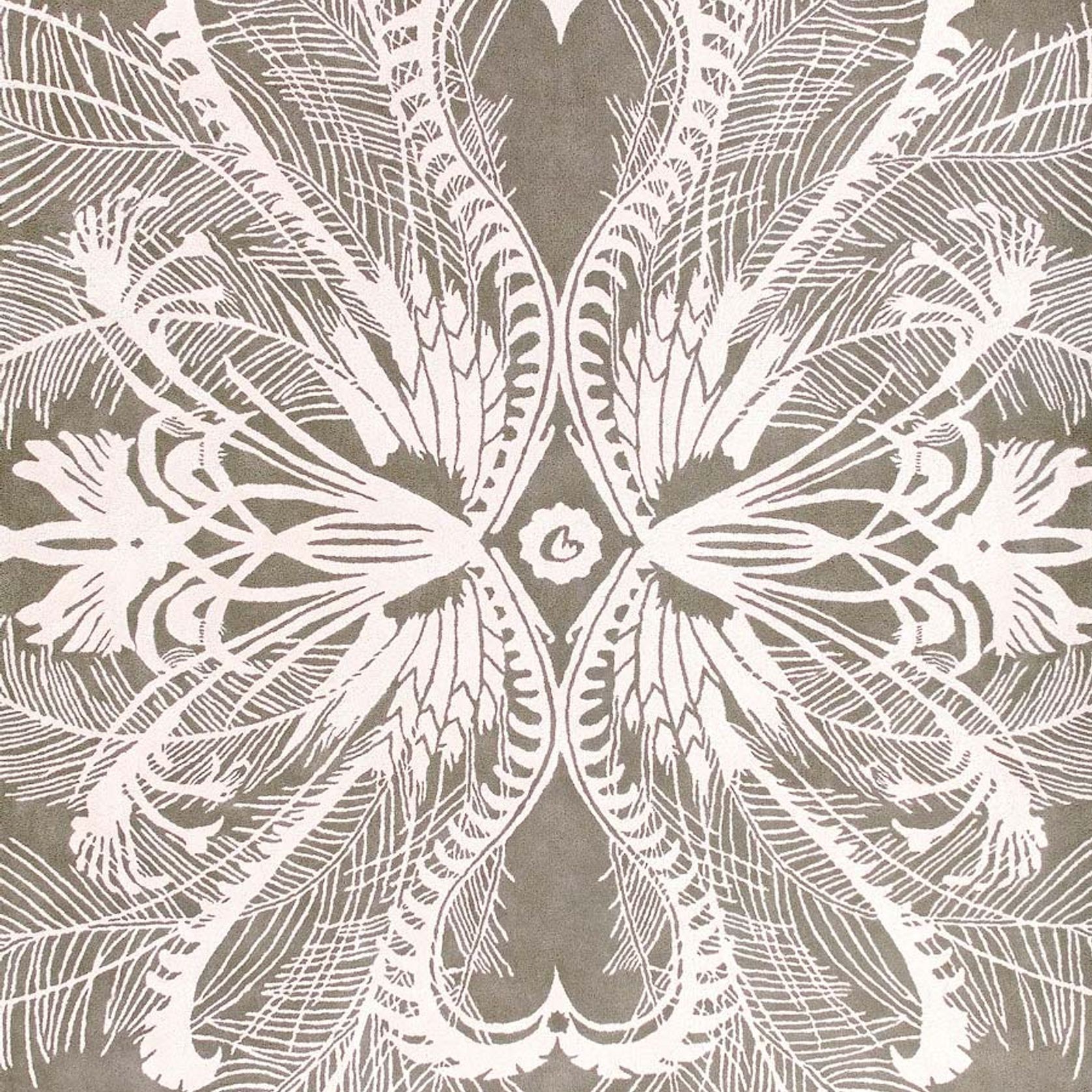 Feathers gallery detail image