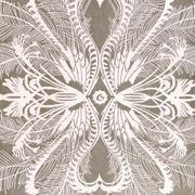 Feathers gallery detail image