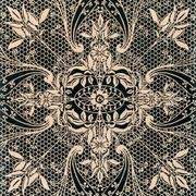 Lace gallery detail image