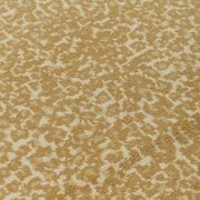 Leopardo gallery detail image