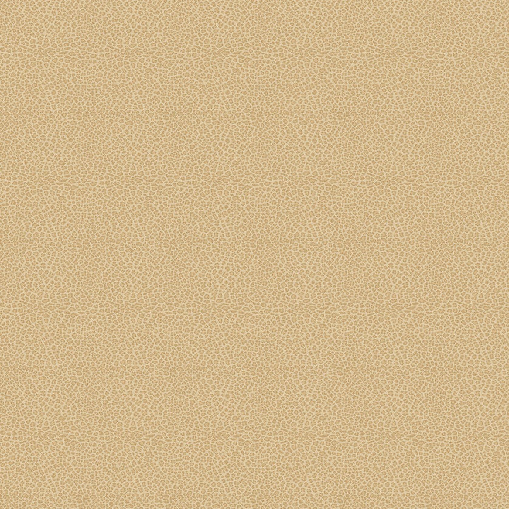 Leopardo gallery detail image
