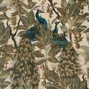 Royal Peacock gallery detail image