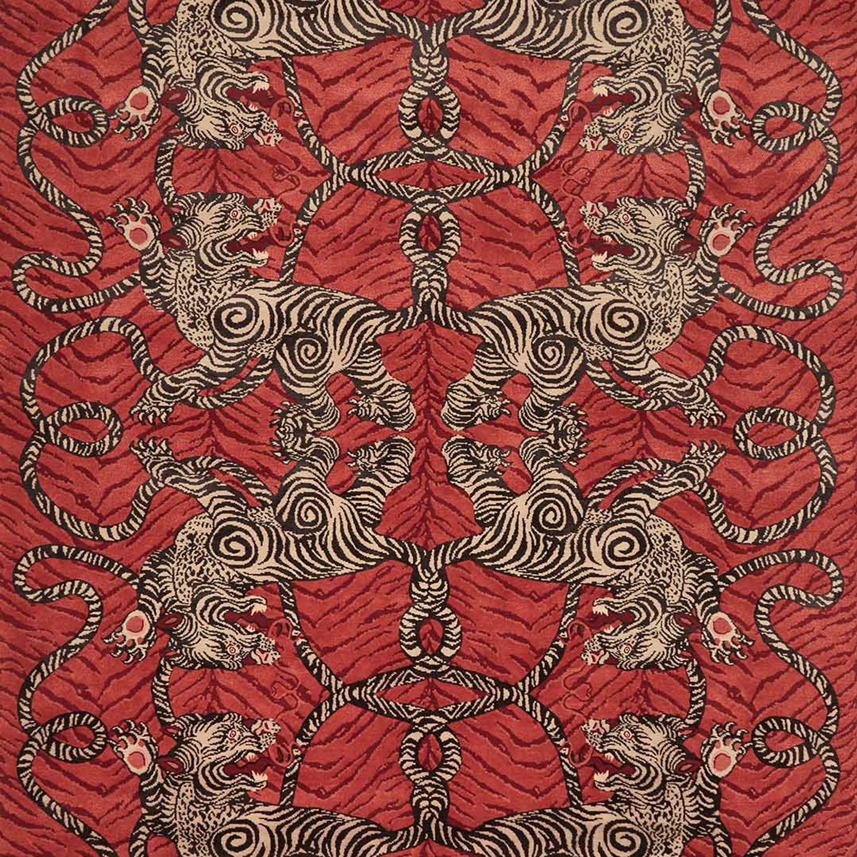 Tiger Knot Chilli gallery detail image
