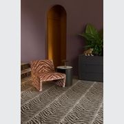 Tigre gallery detail image
