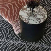 Tigre gallery detail image