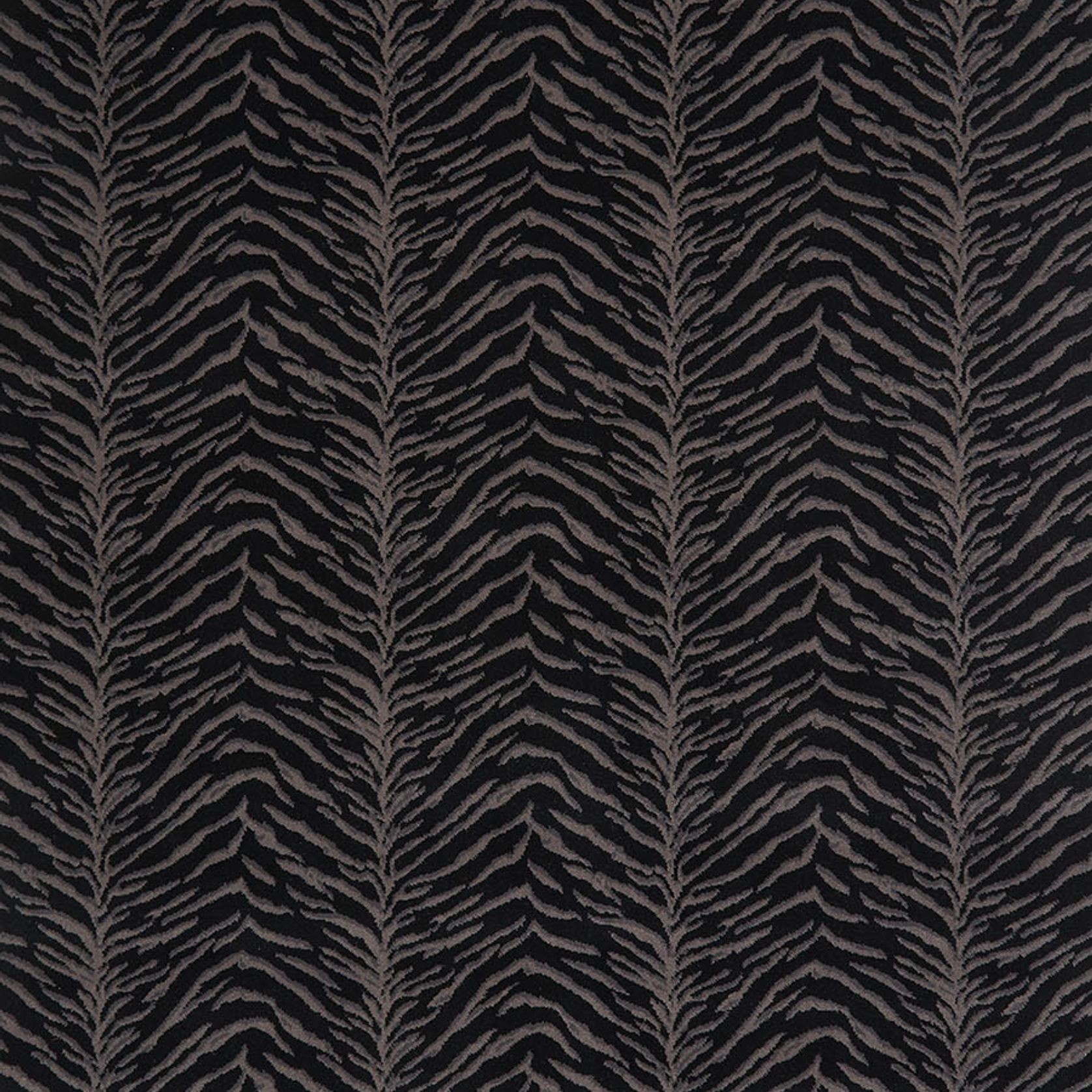 Tigre gallery detail image