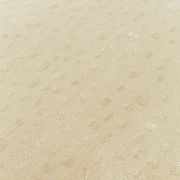 Chital Neutral gallery detail image
