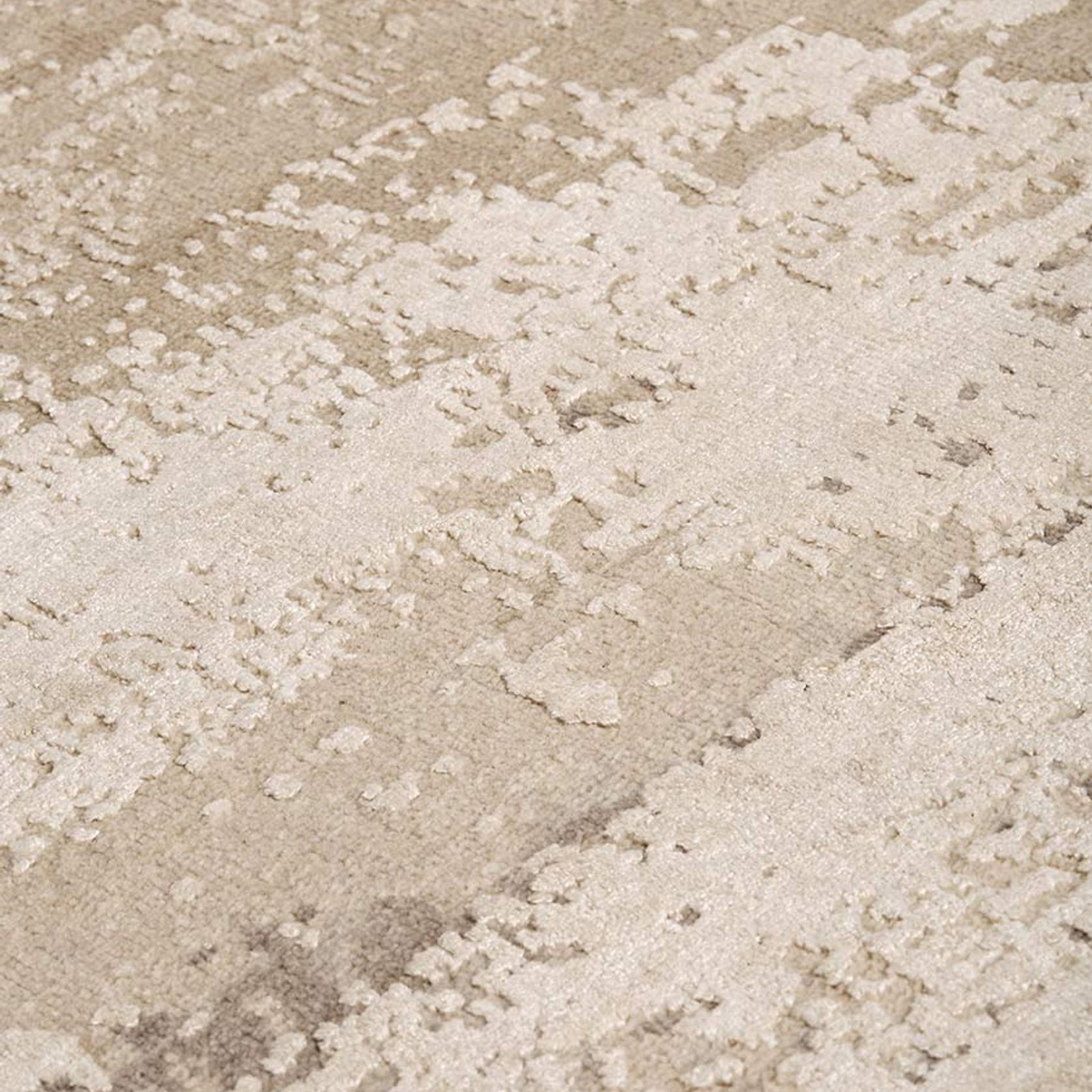 Fossil Multi gallery detail image