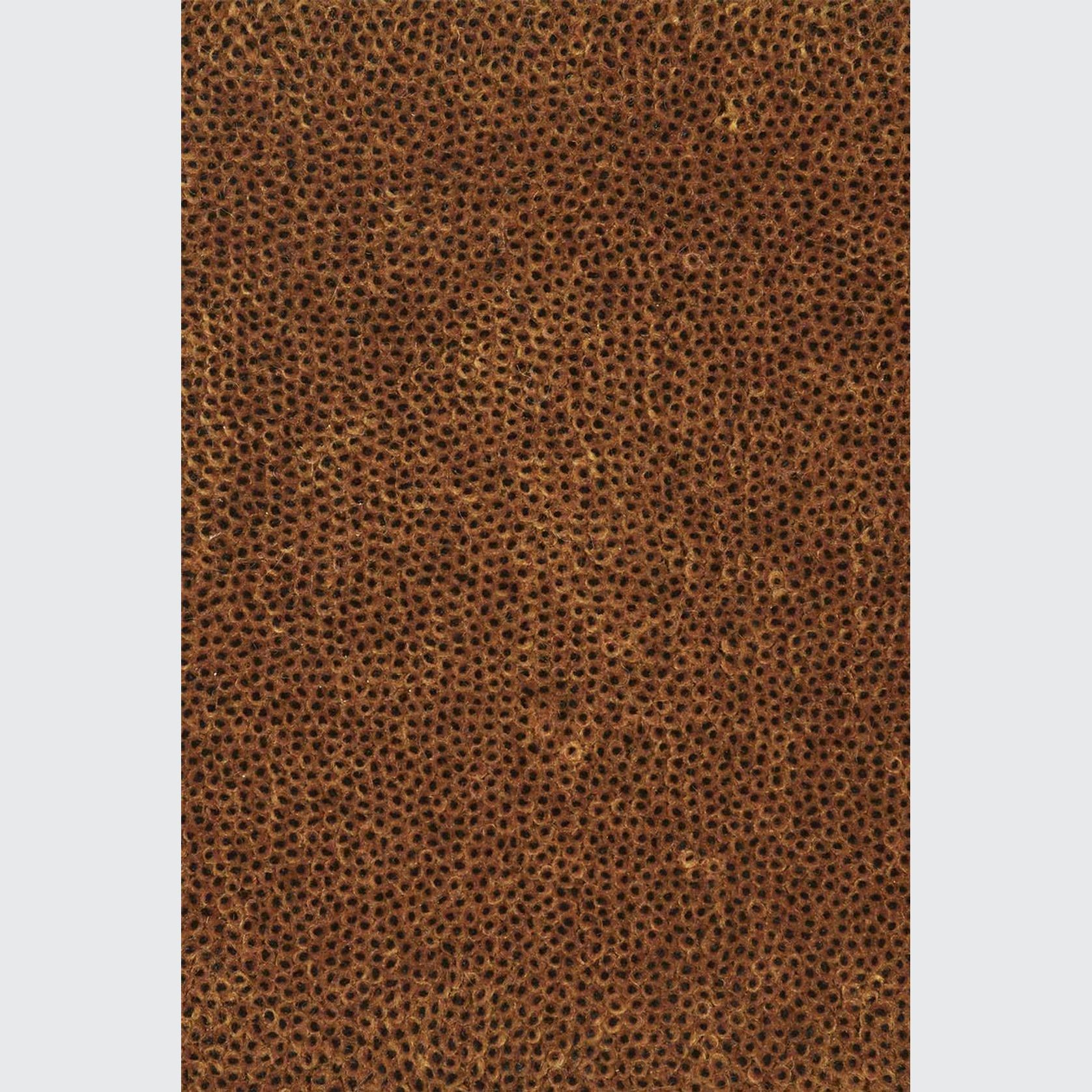 Coral Cut Dark Bronze Black Core gallery detail image