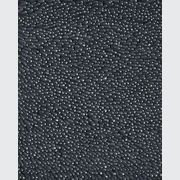 Coral Shag Deep Charcoal White Core gallery detail image