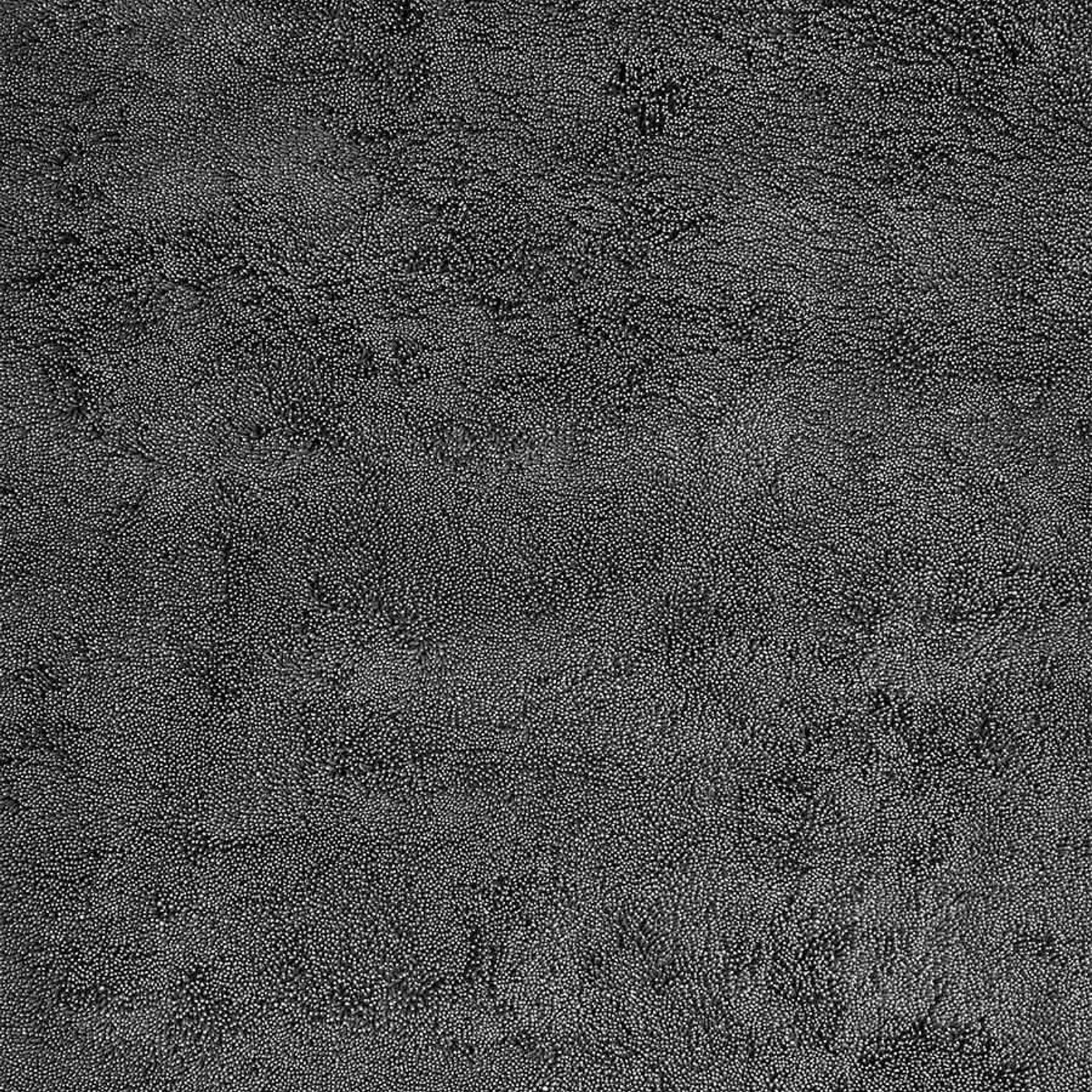 Coral Shag Indigo White Core gallery detail image