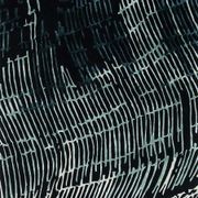 Current gallery detail image