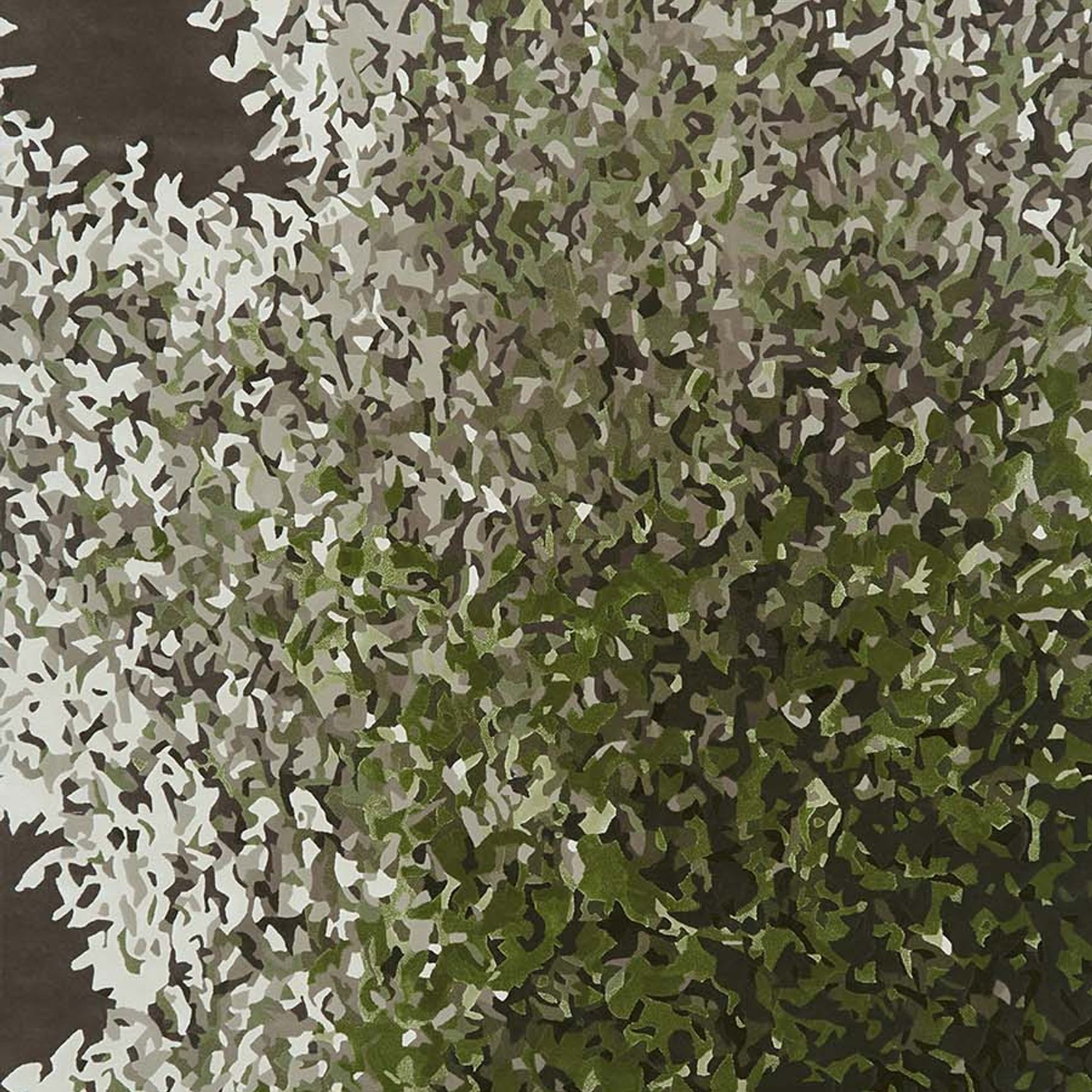 Jasmine gallery detail image