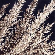 Blossom Dance gallery detail image