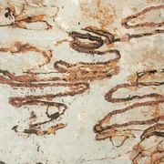 Scribble gallery detail image