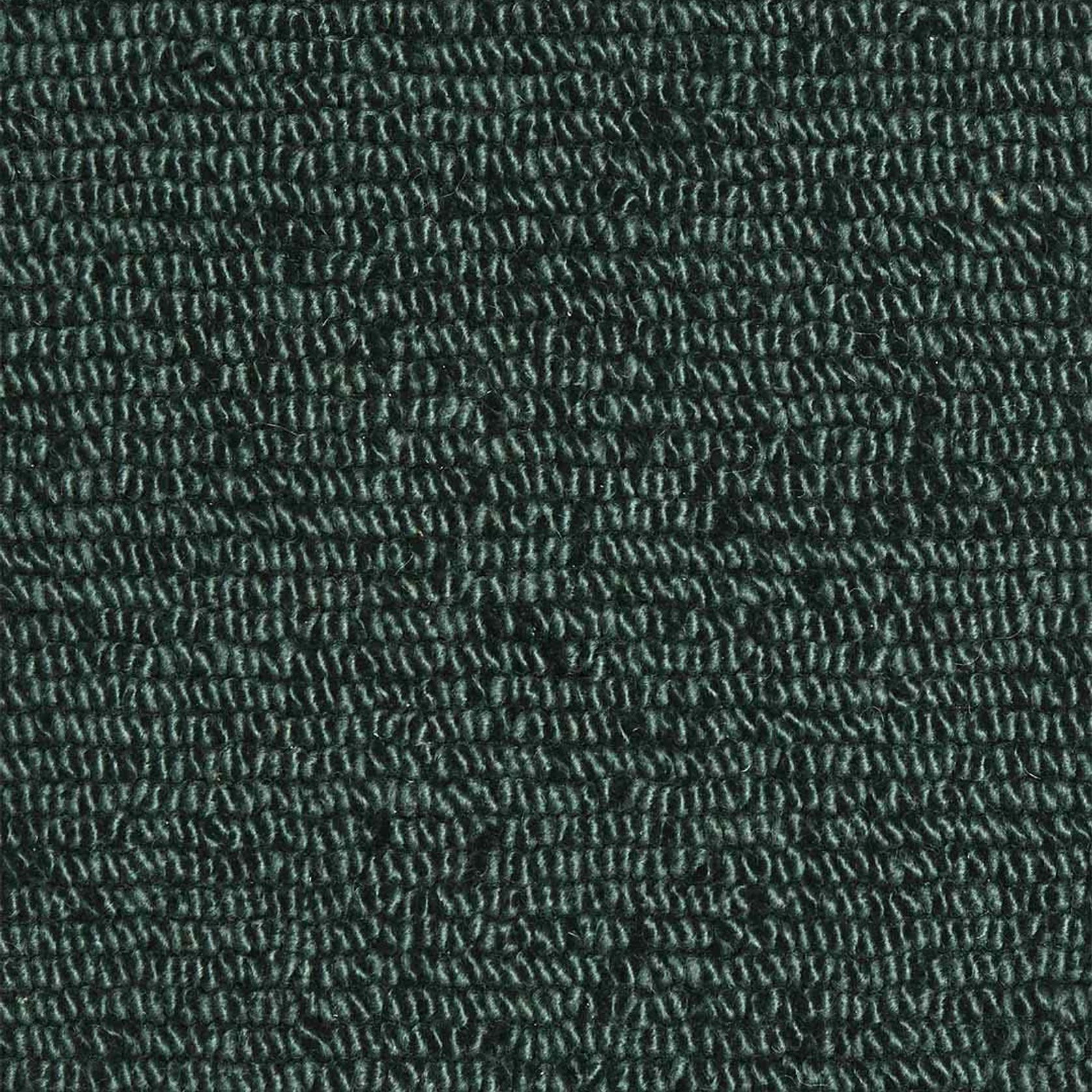 Napoleon Tip Shear Loop Dark Green gallery detail image