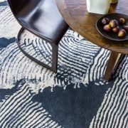 Tassel Fern gallery detail image