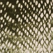 Mackerel Sky gallery detail image
