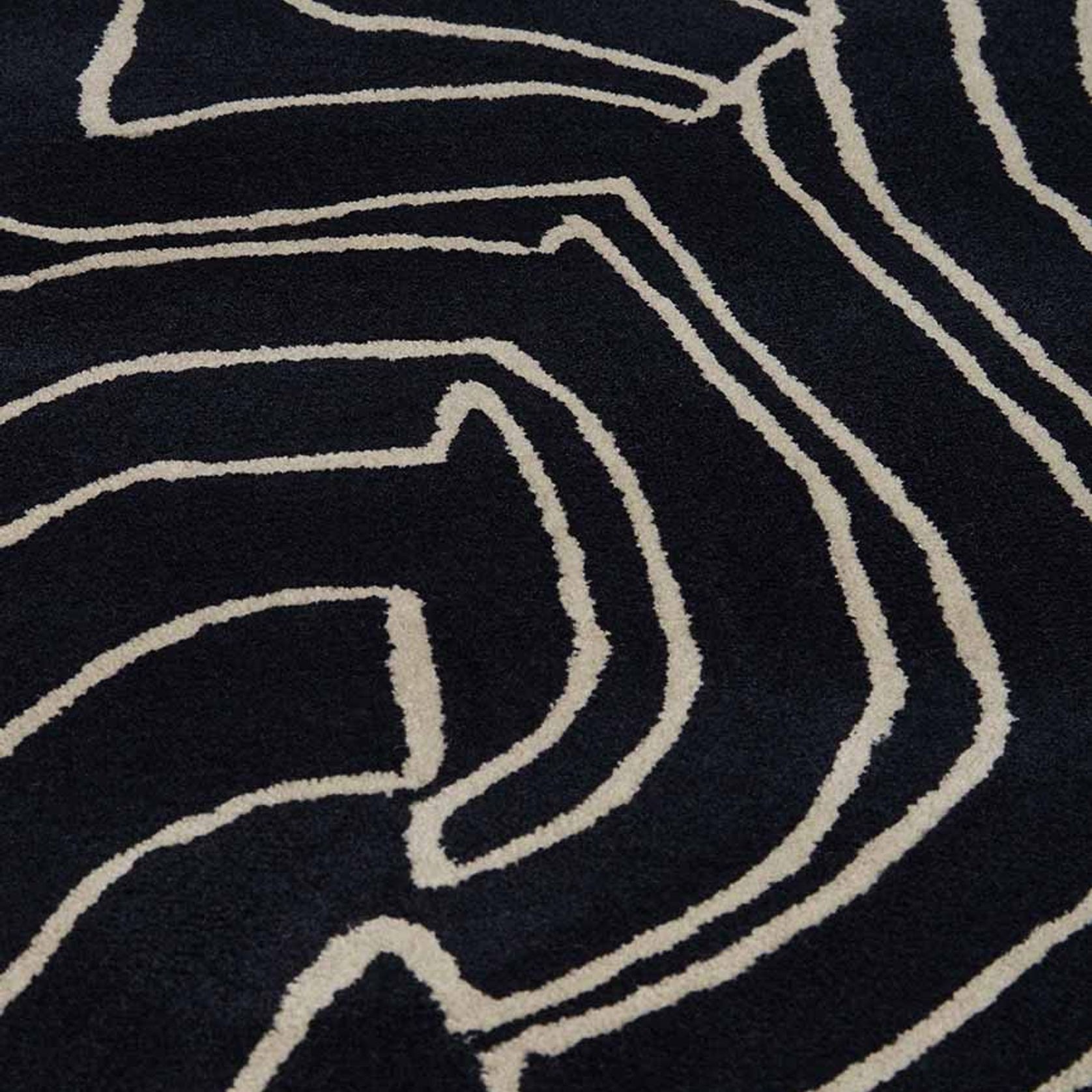 Nautilus gallery detail image