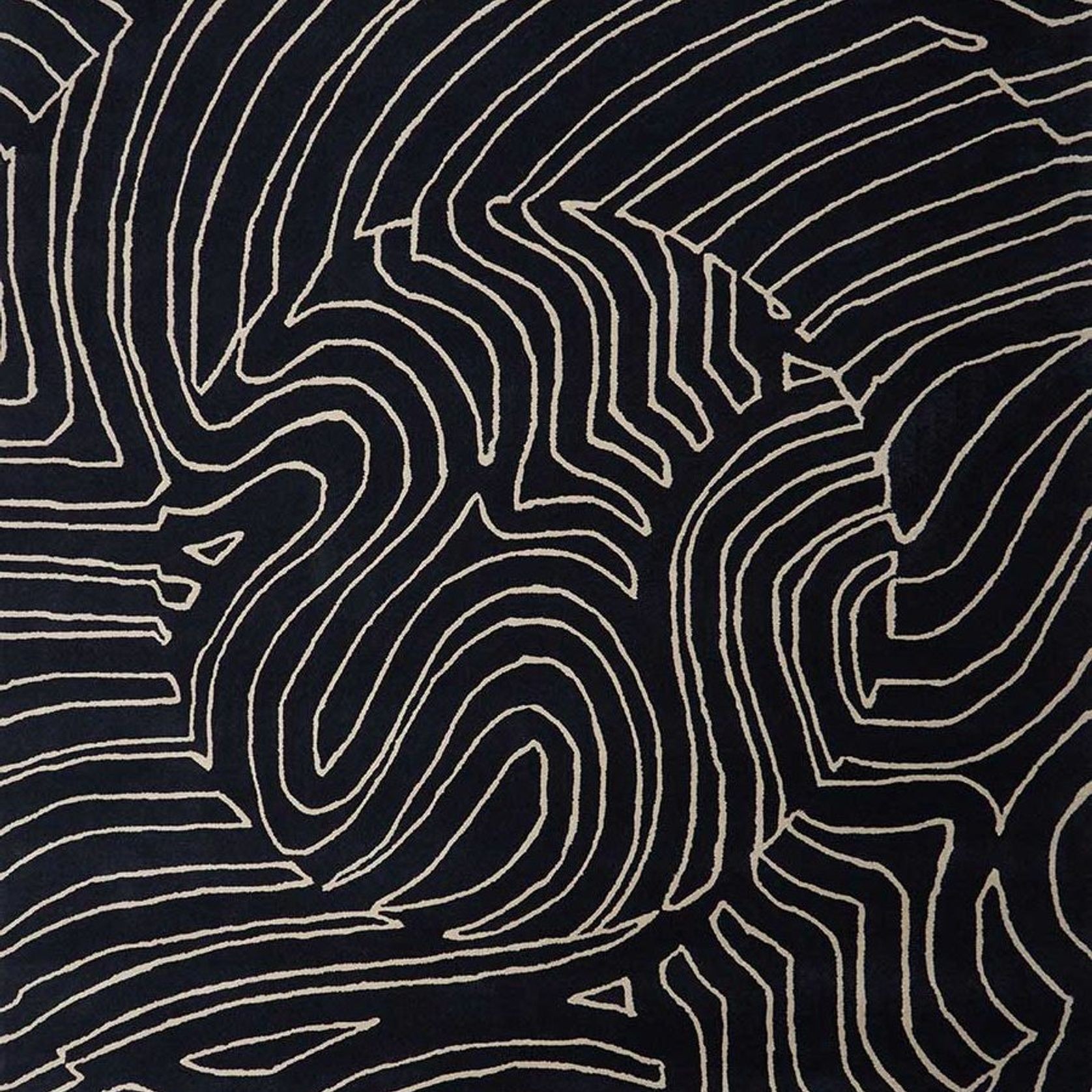 Nautilus gallery detail image