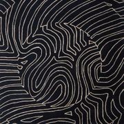 Nautilus gallery detail image