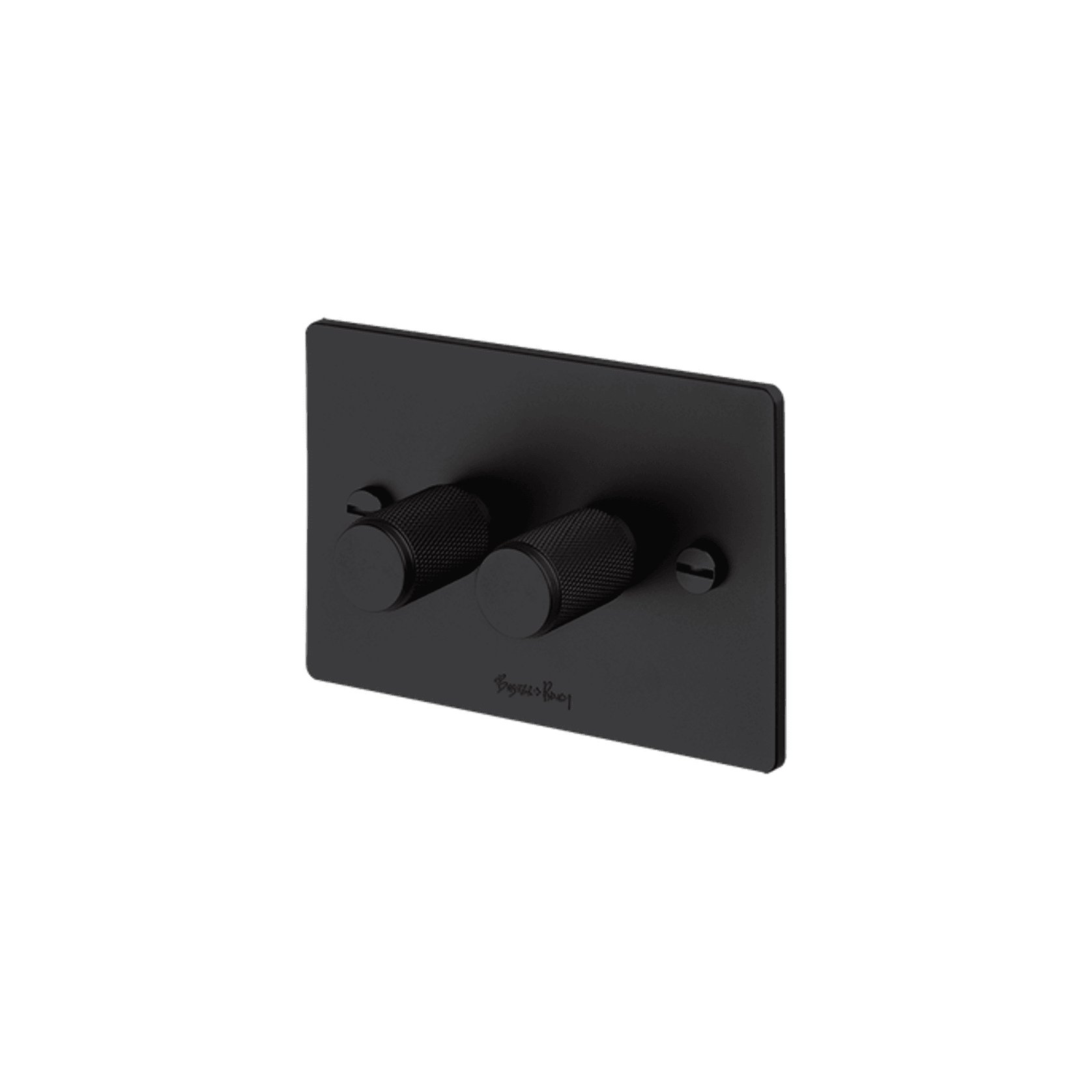 Buster+Punch 2 Dimmer Switch gallery detail image