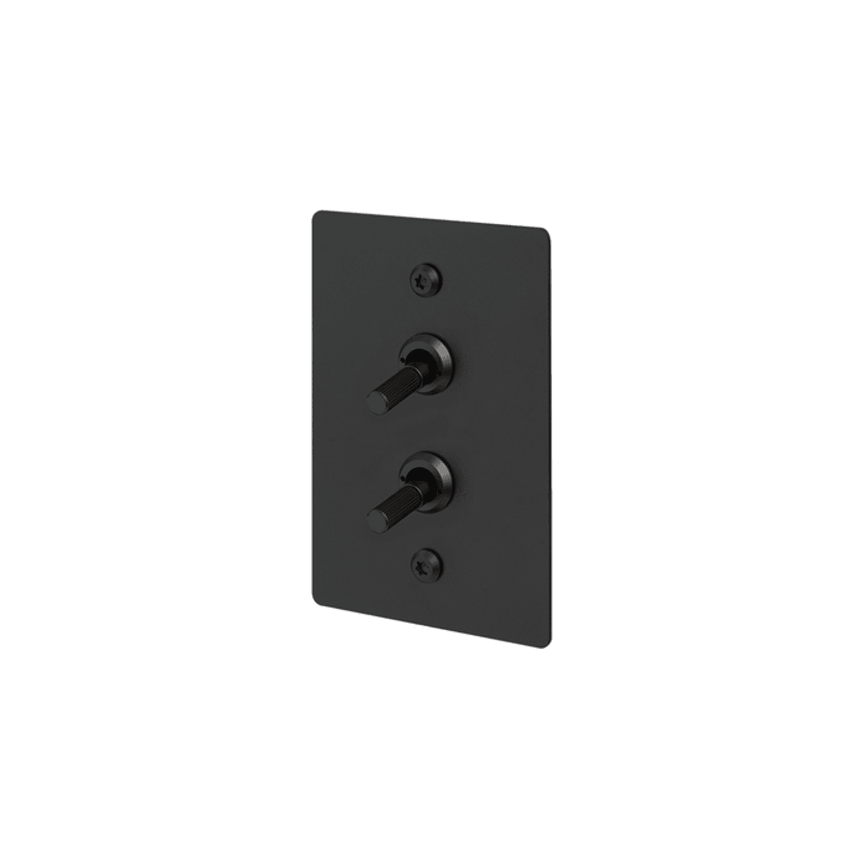 Buster + Punch 2G Toggle Vertical 2-Way Linear gallery detail image