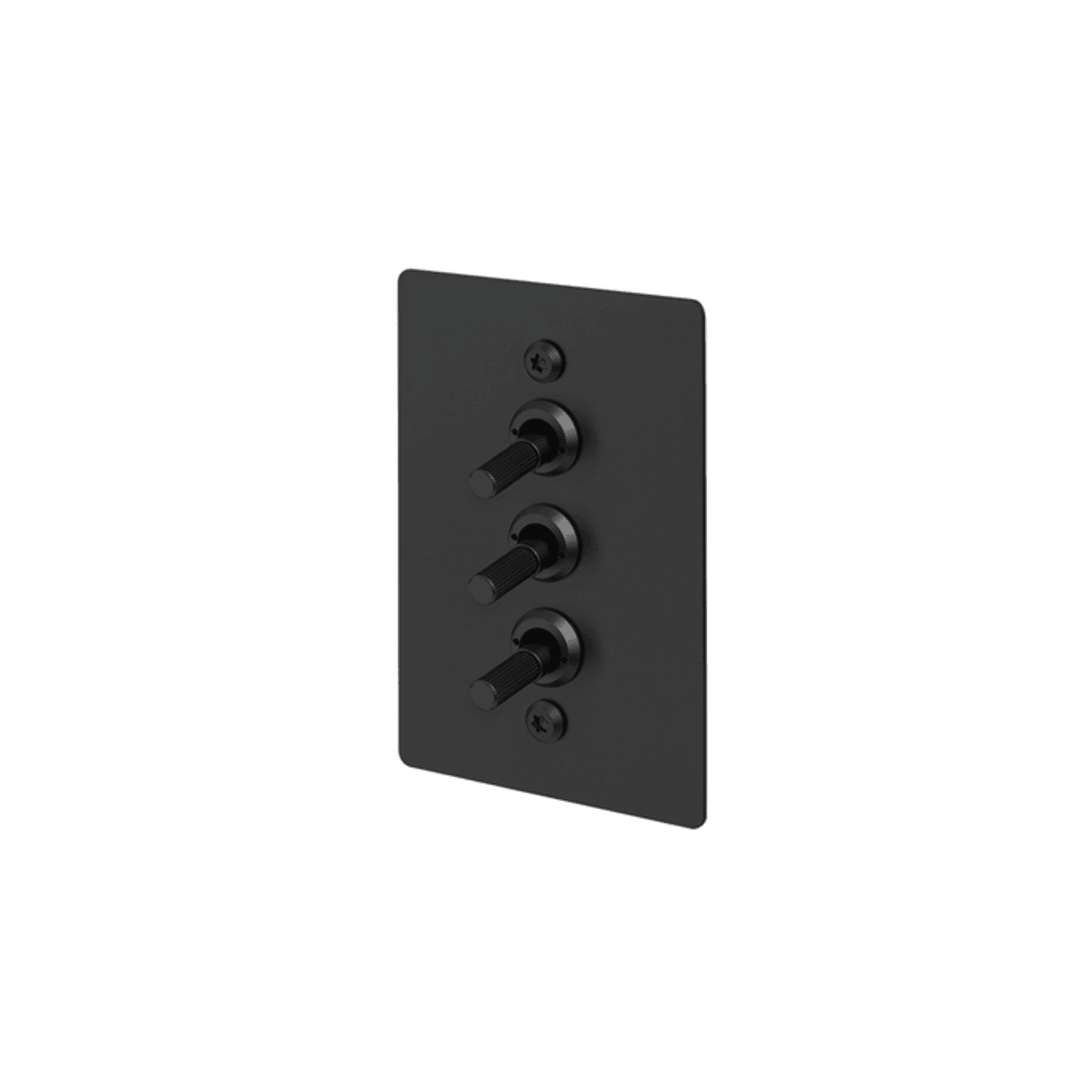 Buster + Punch 3G Toggle Vertical 2-Way Linear gallery detail image