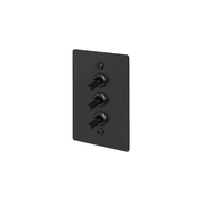 Buster + Punch 3G Toggle Vertical 2-Way Linear gallery detail image