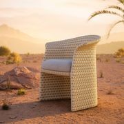 FLLAIR Outdoor Lounge Chair gallery detail image