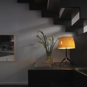 Lumiere gallery detail image