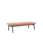 Genaya Bench gallery detail image