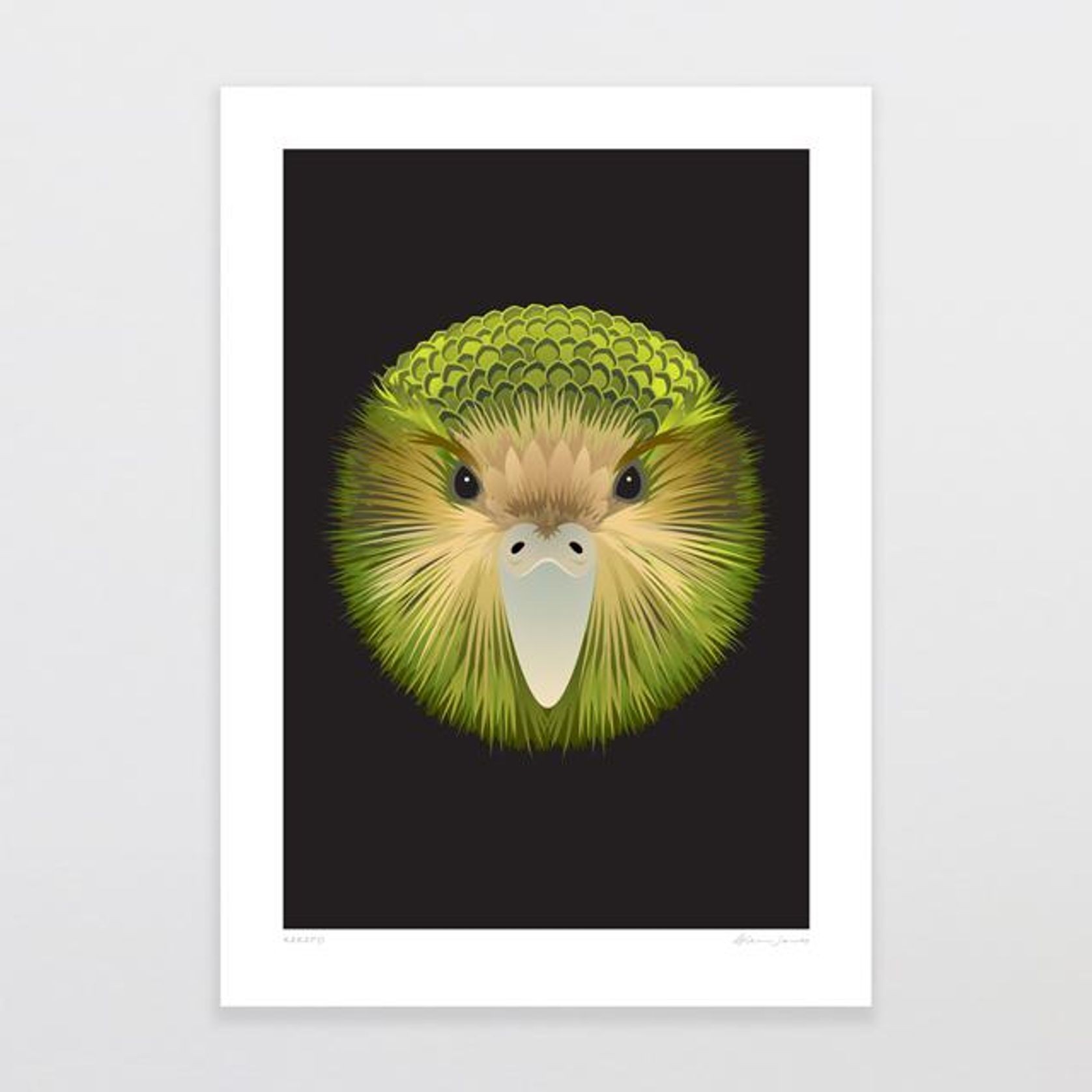 Kakapo Art Print gallery detail image
