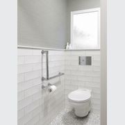 Aquadomo Toilet Flush Plates gallery detail image