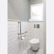 Aquadomo Toilet Flush Plates gallery detail image