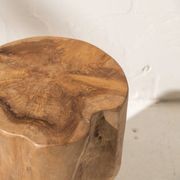 Hadi Natural Tree Stump Stool gallery detail image