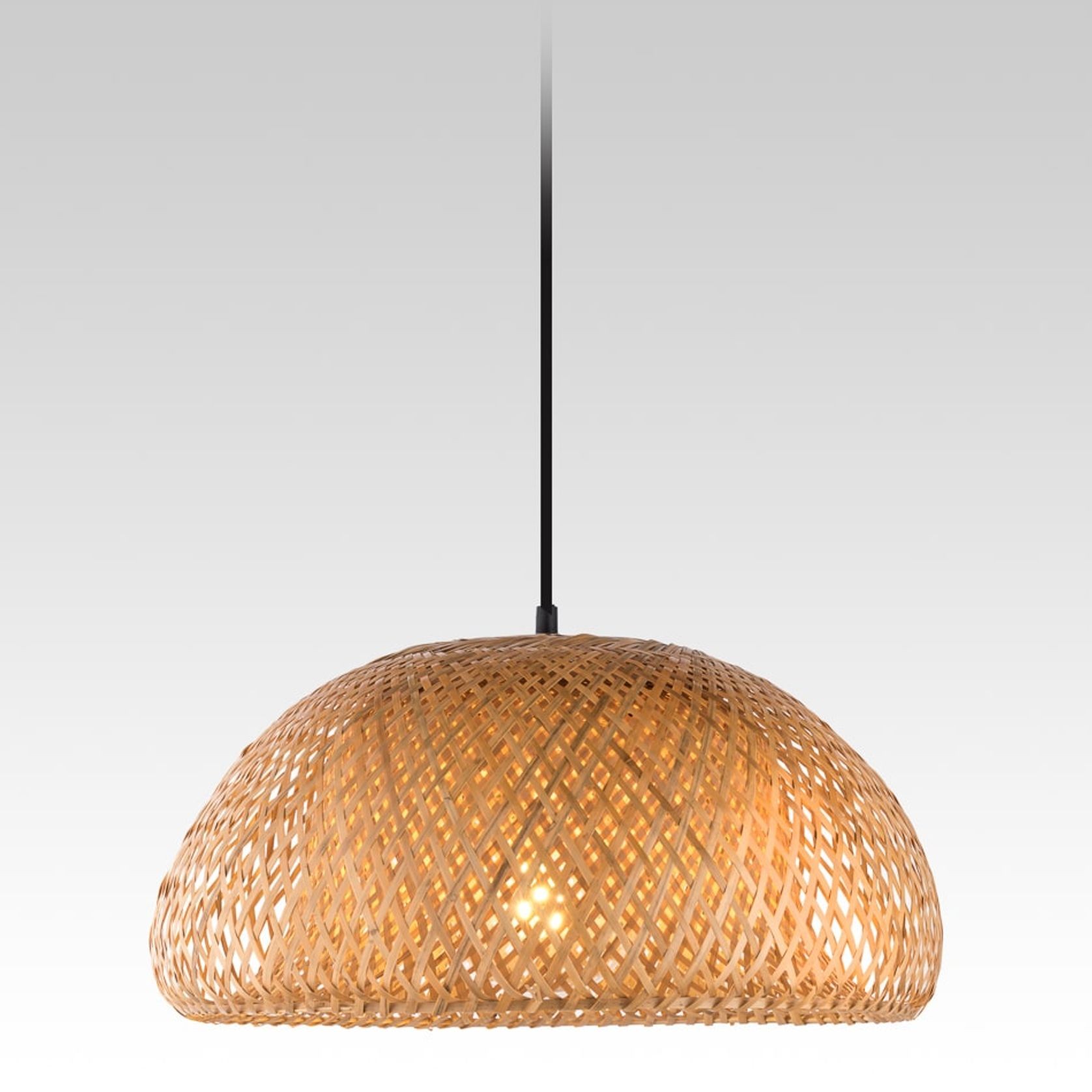 Holly Pendant 480 (Natural) gallery detail image