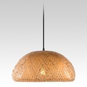 Holly Pendant 480 (Natural) gallery detail image