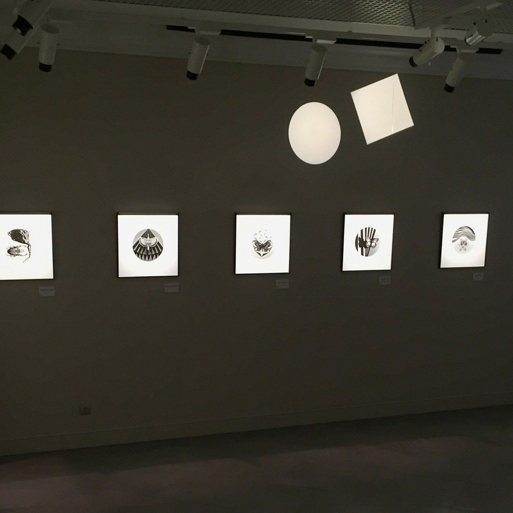 Palco Framer gallery detail image