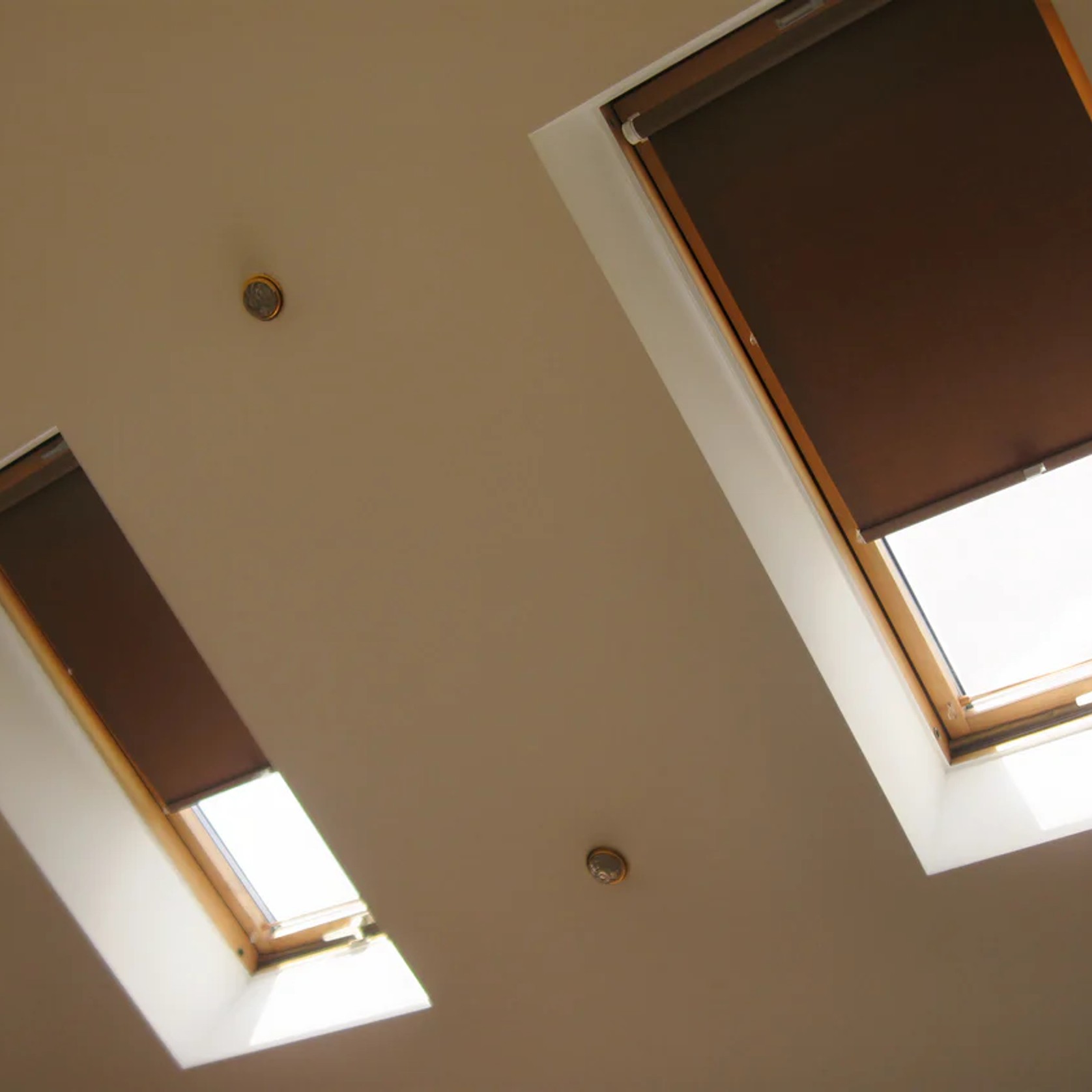 Premium Blackout Roller Blinds gallery detail image