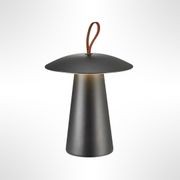 Ara To-Go 2 Lamp gallery detail image