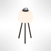 Kettle To-Go Tripod gallery detail image