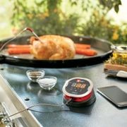 Weber iGrill 2 Bluetooth Thermometer gallery detail image