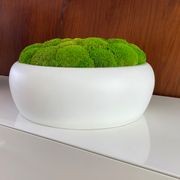 Moss Bowls gallery detail image
