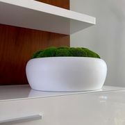 Moss Bowls gallery detail image