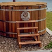 Hot Tub Steps gallery detail image