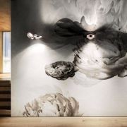 Nautilus gallery detail image