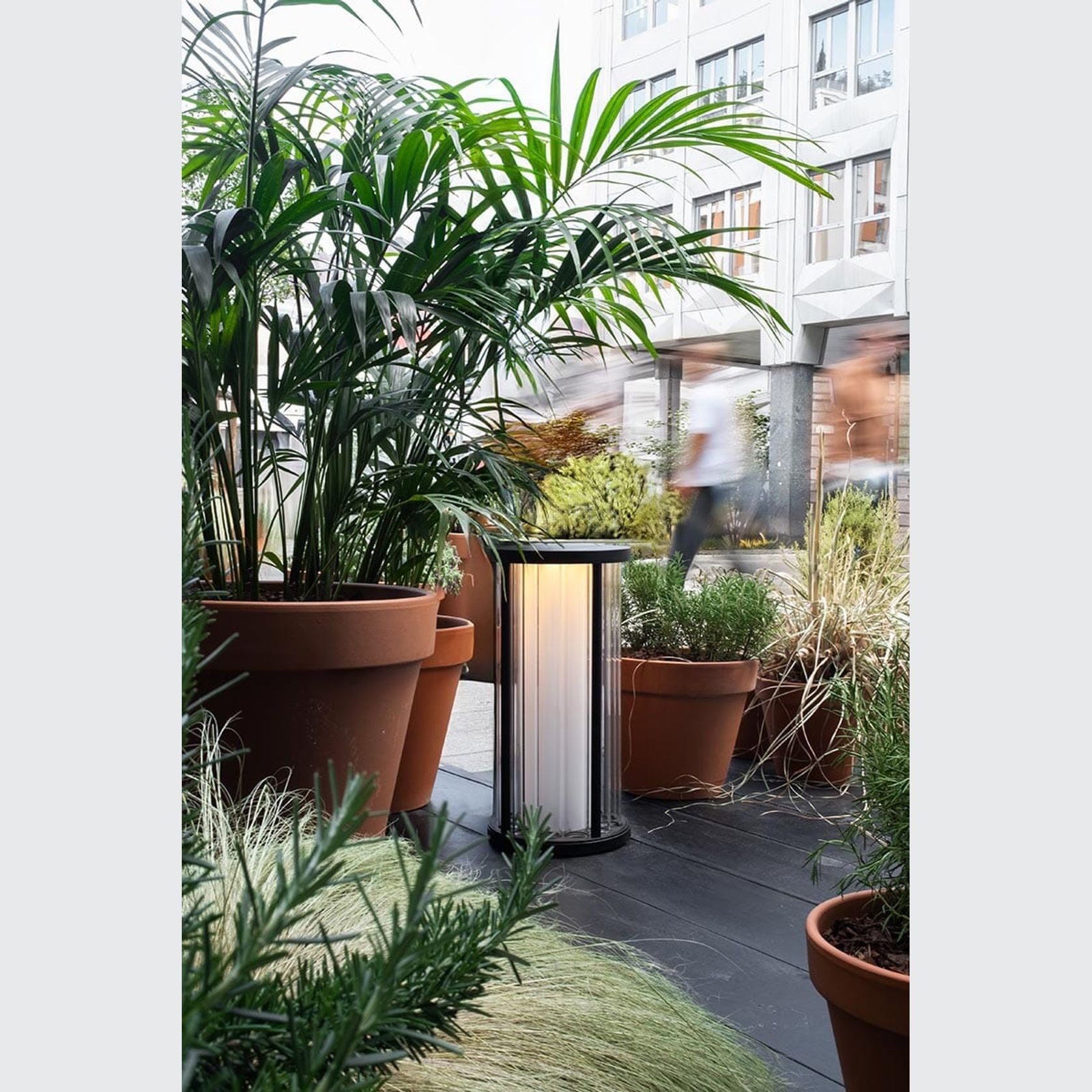 ION gallery detail image