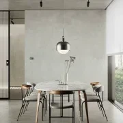 Forked Shade and Globe Pendant gallery detail image