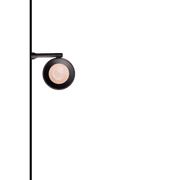 Jasper-50 gallery detail image